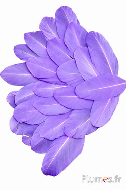 Blütenblätter aus Federn - 6-8 x 3-4 cm- flieder